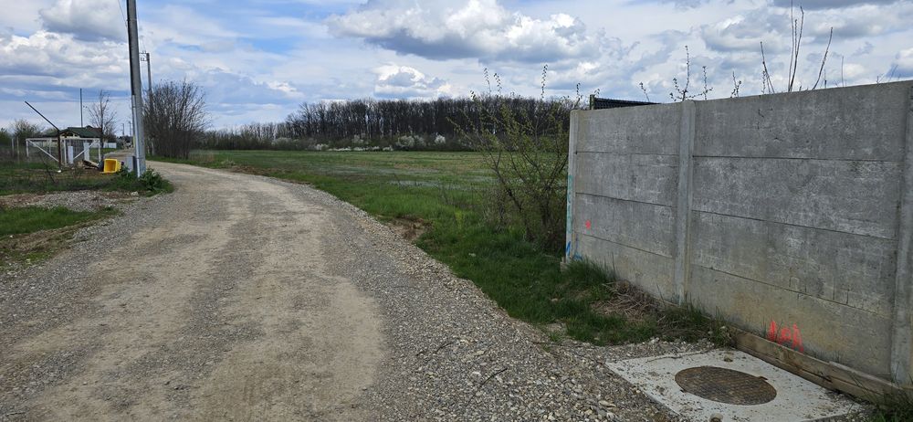 Snagov Ciofliceni Pădure