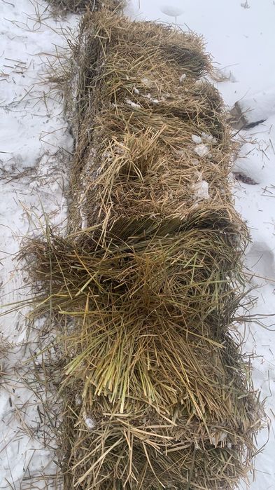 Продается отход от семечки. Есть сена в тюках.