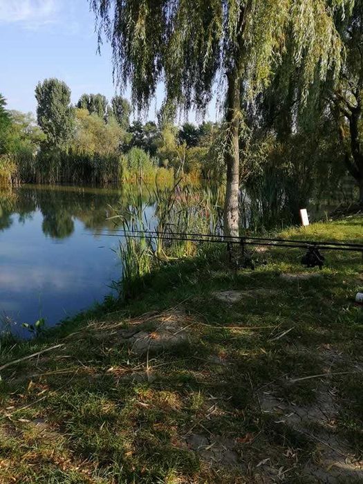 Vand balta pescuit jud Sibiu