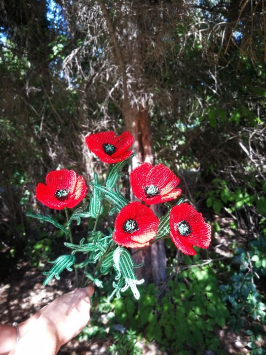 Букет из 5 маков.