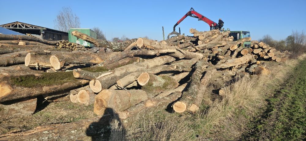 Lemn de foc stejar(bustean) – 400 lei / m³

Vând lemn de foc din **ste