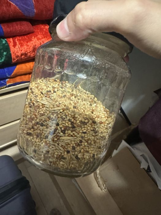 Клетка для попугай