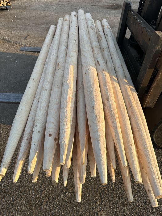 Ритловици иглолистни (чам)