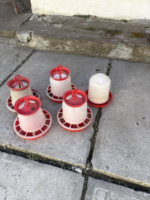 Hranitor pasari bune