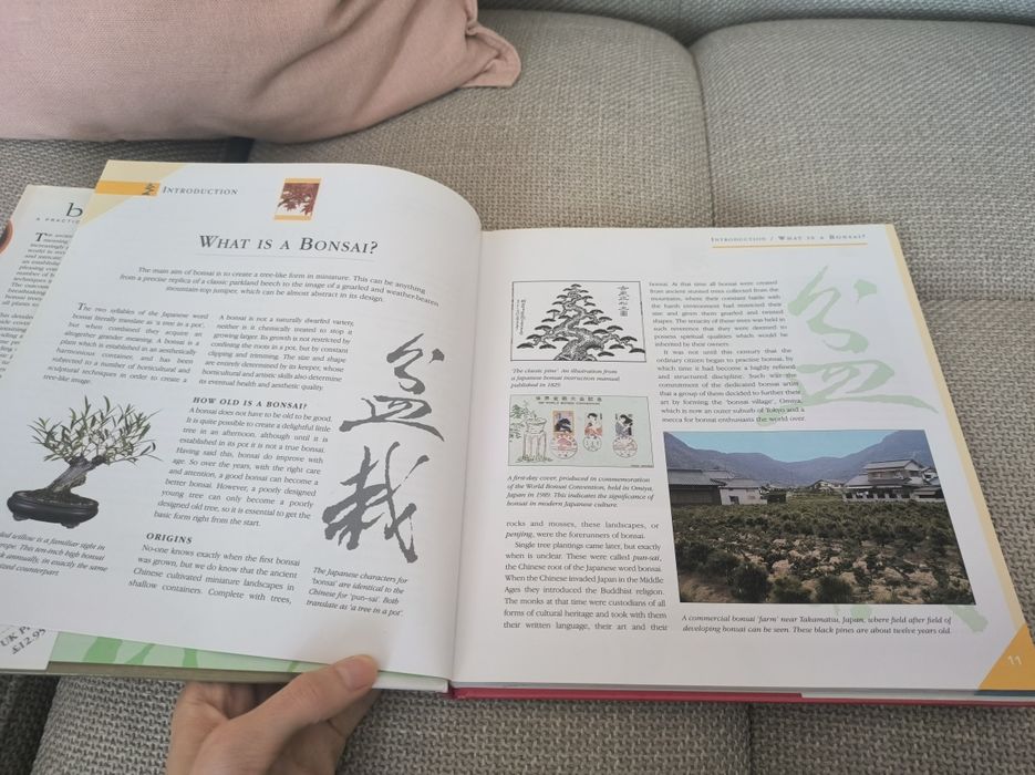 Practical  Bonsai