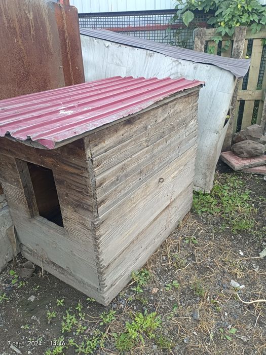 Продам бутку срочно