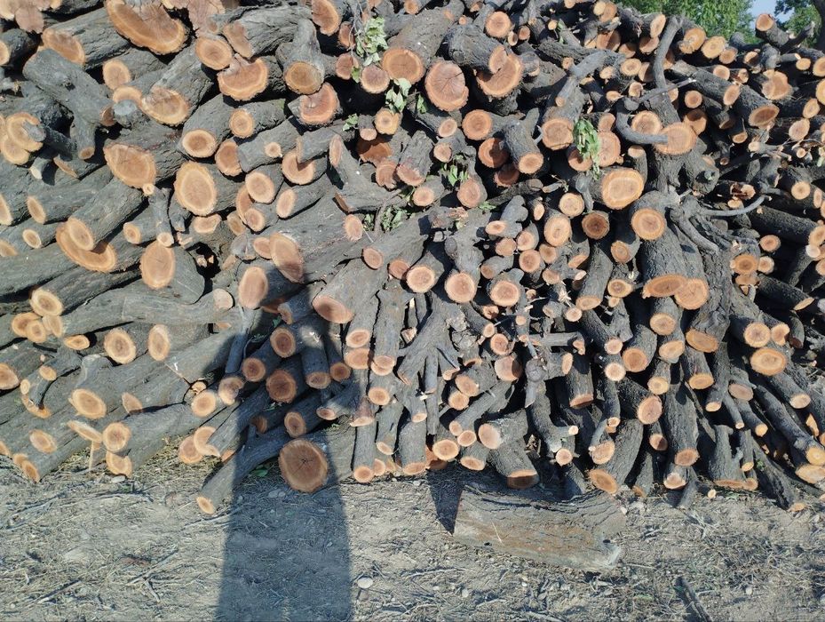 Урик Утин сотилади