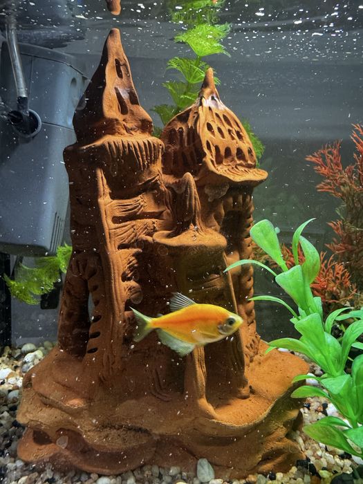 Аквариум tetra 30 литров