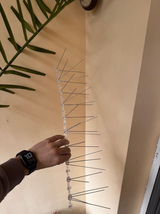 Шипове против птици