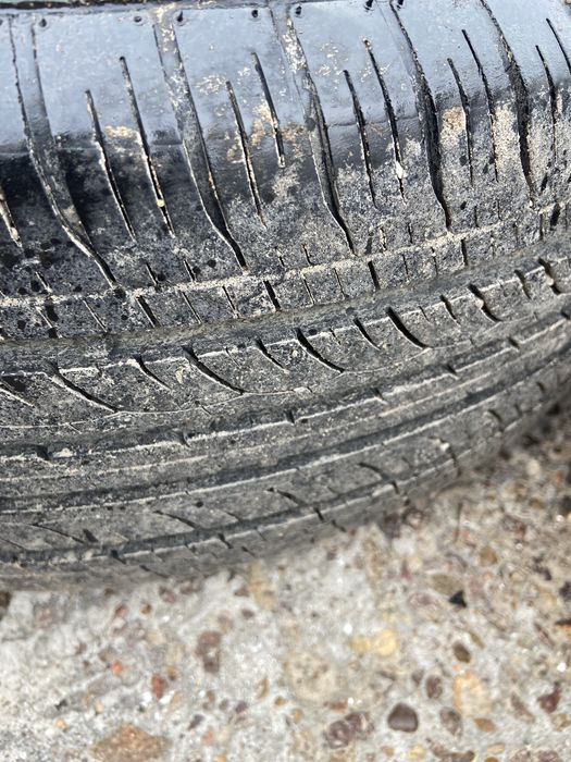 Балон титанка Ромашка R15