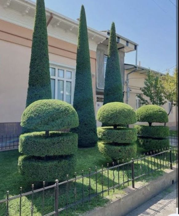 Ландшафтный дизайн и уход