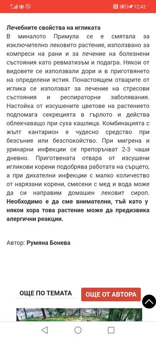 Градинска иглика в 4 цвята