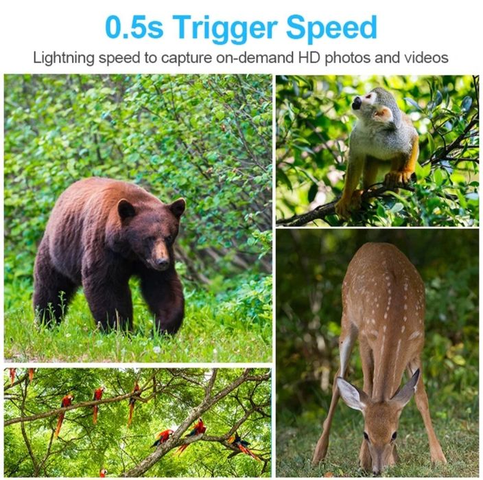 Ловна камера H6 със соларен панел, ново модел 4G водоустойчива