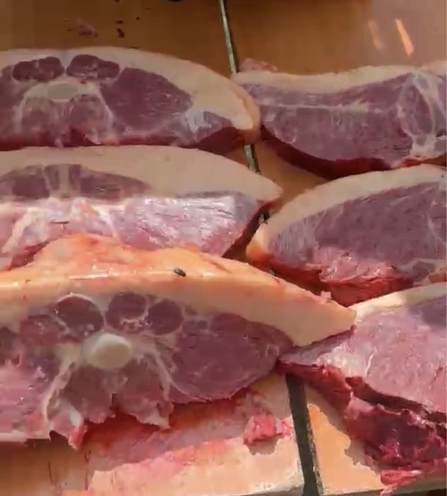 Жылқы еті| канина