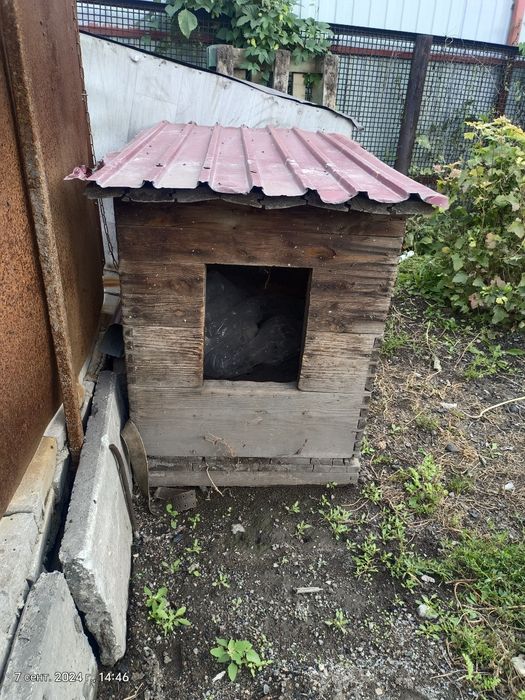 Продам бутку срочно