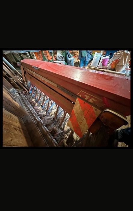 Semanatoare paioase stegsted