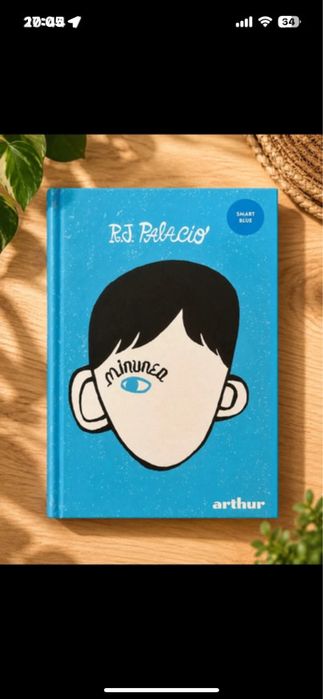 Minunea de Rj palacio