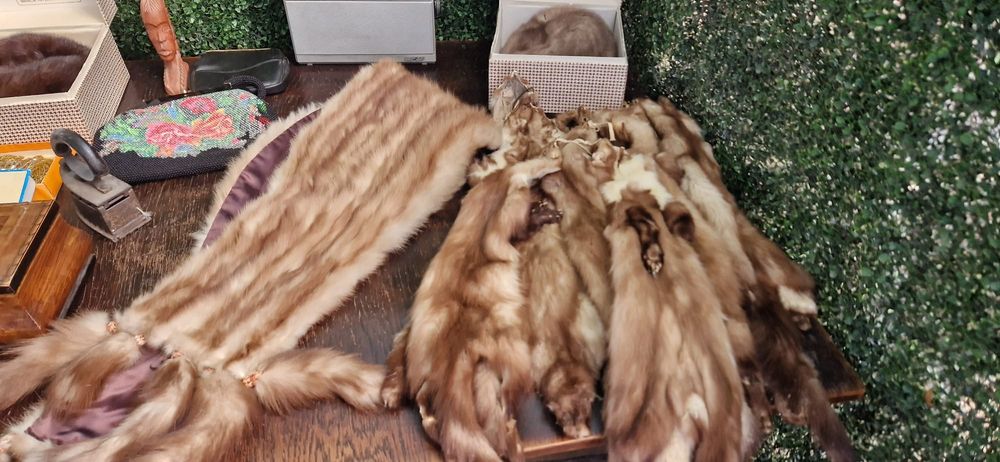 Blănuri naturale vechii