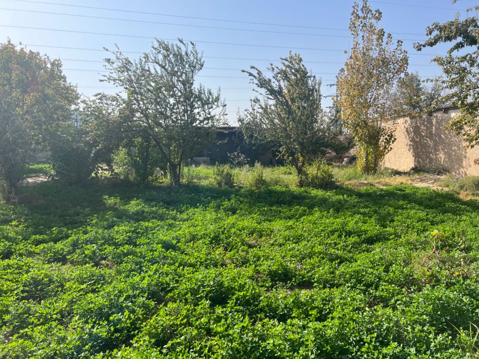 Срочно Уй сотилади!!!