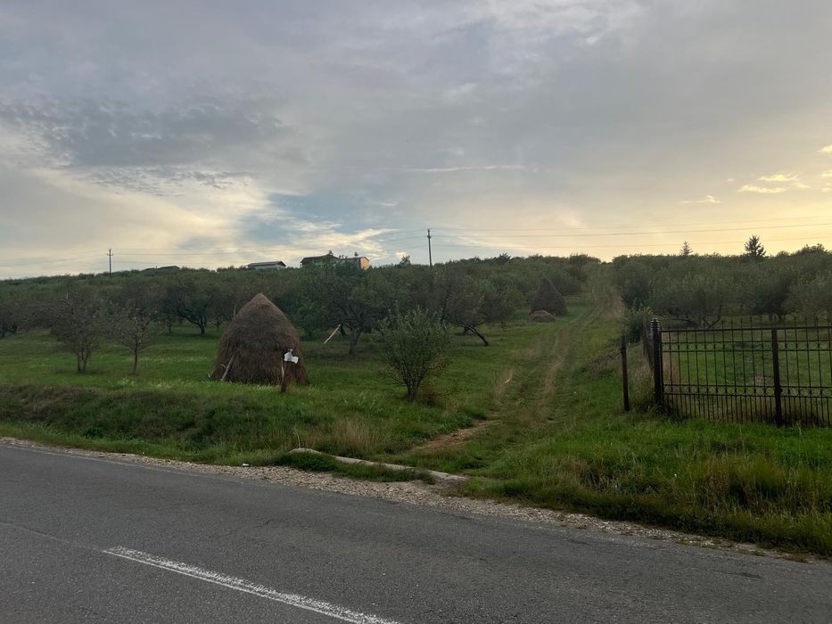 Teren de vânzare – 10 ari în Dumitra, poziție deosebită