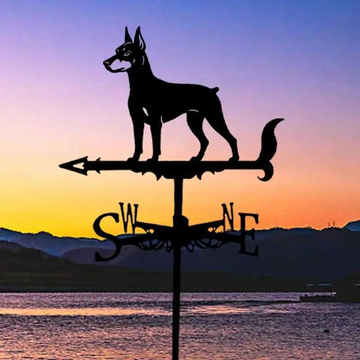 Ветропоказател , ветропоказатели - видове