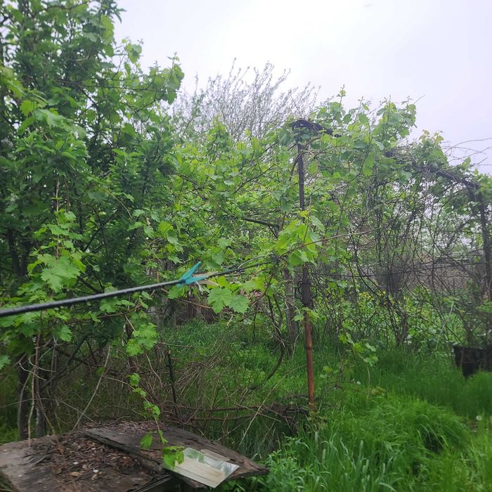 Продаётся дача-ферма 24 соток, dacha-ferma, 24 sotix sotiladi