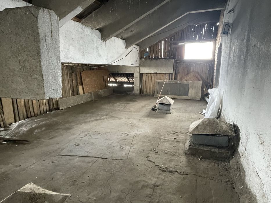 Debarasari, servicii profesionale dezinfectie Iasi si imprejurimi