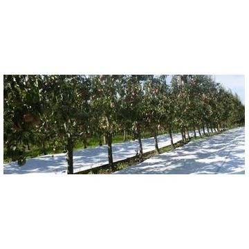 AGROTEXTIL ALB; 3.3x100m=1320lei; 4.15x100m=1650lei; 5.15x100m=2.039