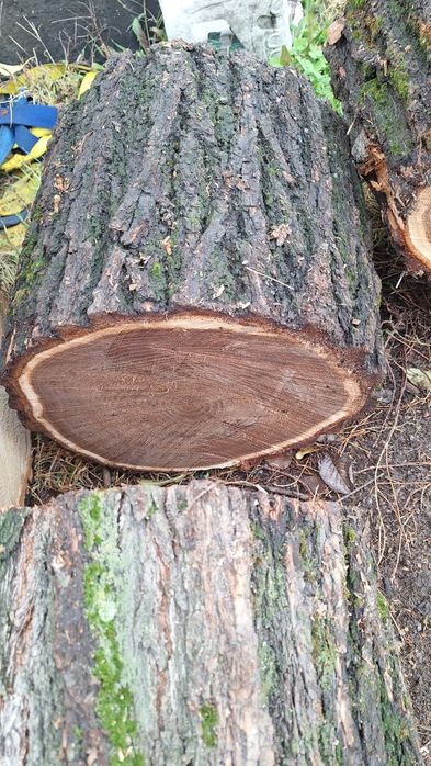 Продам слебы карагача