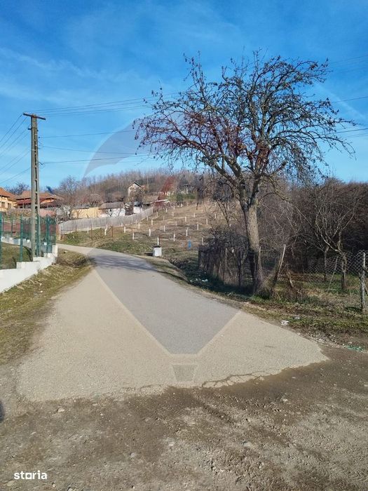 Teren 1.736mp Chițești-AG, Ideal Casă, Deschidere la Asfalt, Utilități