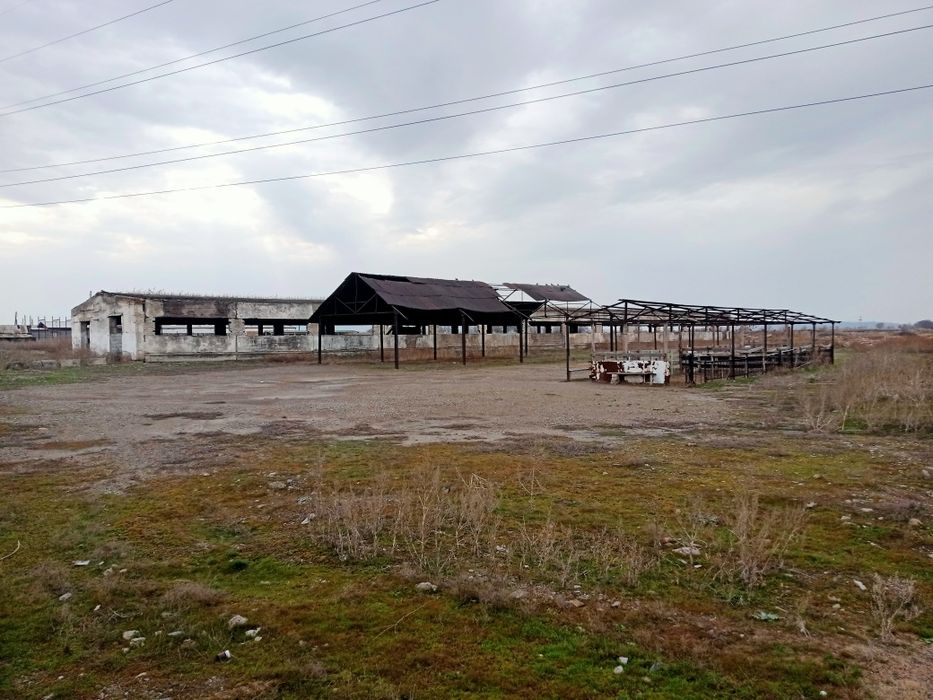 Құлагер мал базары сатылады