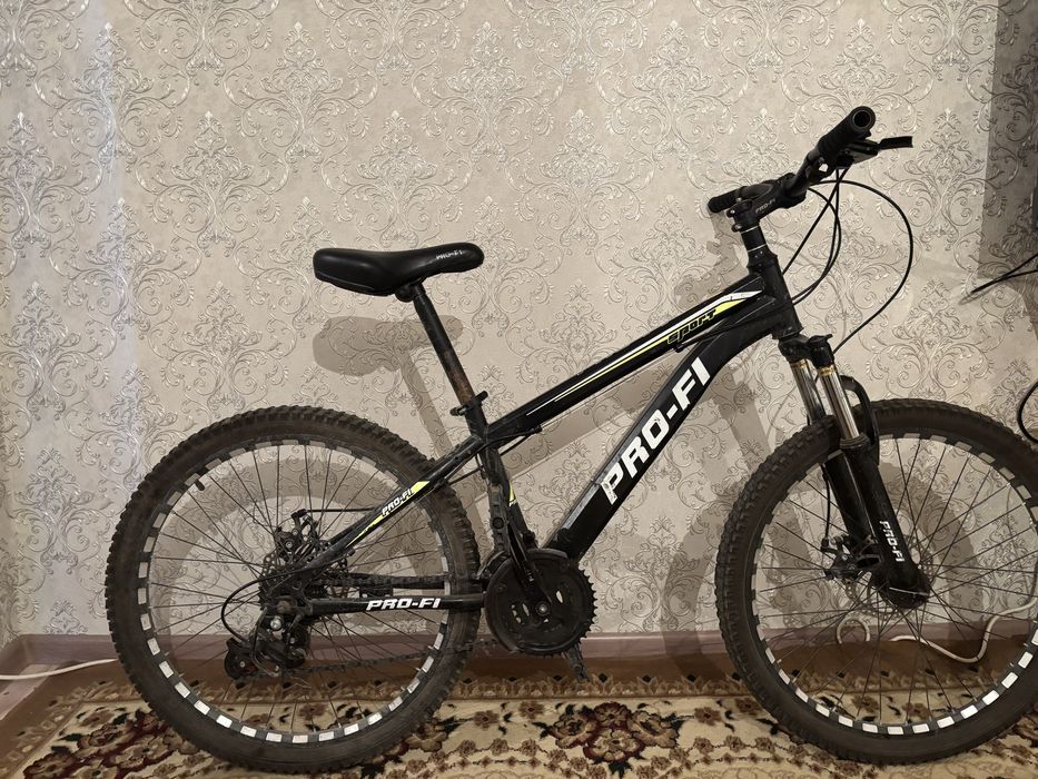 Pro-fi велик жаксы багада