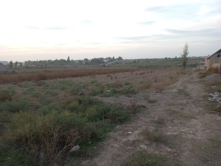 Toshkent viloyati, Yangiyo`l tumani, Vatan MFY, SVT Xalkabod kuchasi