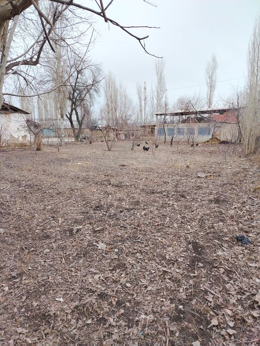 Срочно продам землю