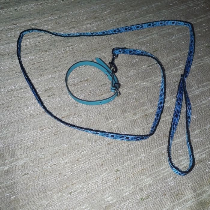 Lot îmbrăcăminte și accesorii cățel talie mică