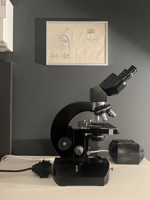 Microscop IOR binocular