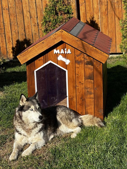 Cușcă de câine izolată, autentică - calitate garantată