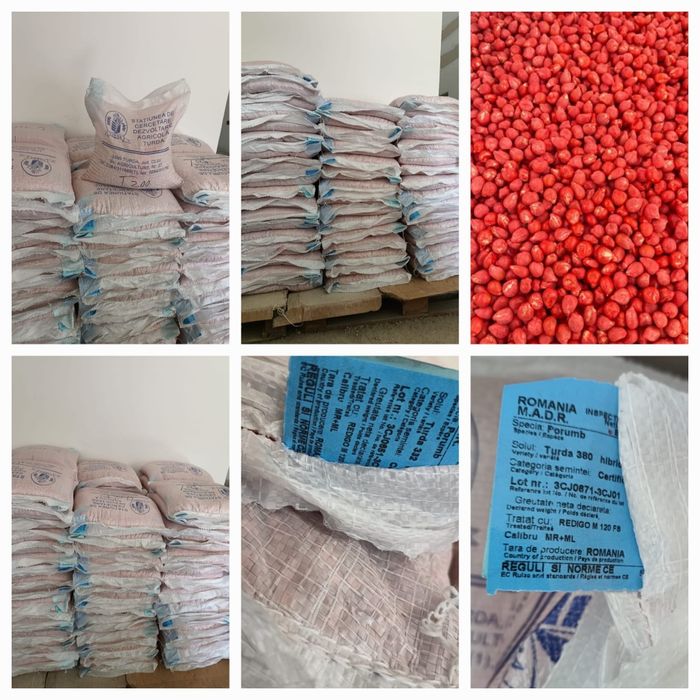 Sămânță Certificată Porumb ,boabe,Siloz, Floarea Soarelui pe express