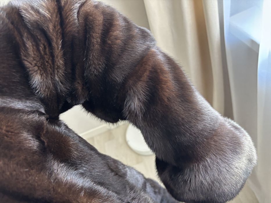 Продам шубу норковую