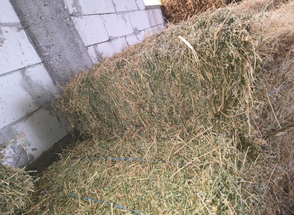 Baloți de lucernă coasa 3 și 4