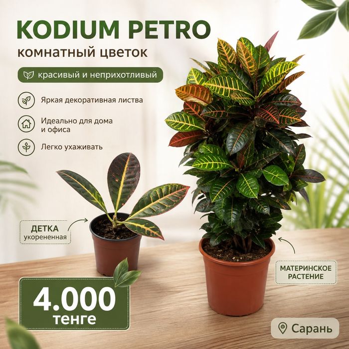 Для любителей цветов.