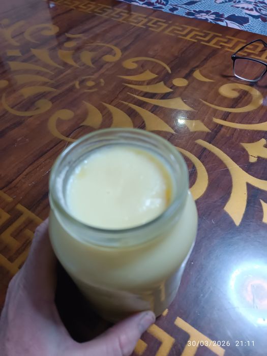 Sariq yogʻ saryogʻ sariyoq saryogʻ