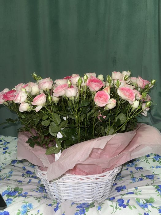 Продается букет(кустовые розы)