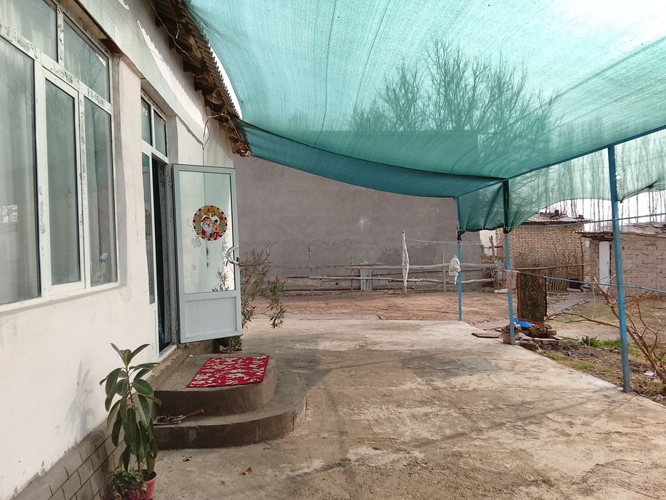 25 сотихли котта ховлимиза сотуга сикти