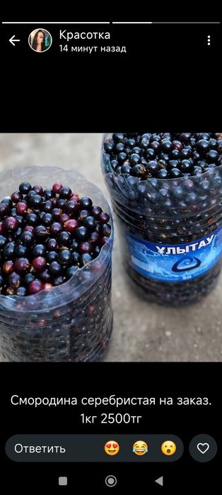 Смородина Серебристая