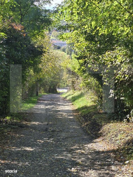 Oportunitate! Teren 3448 mp Borhanci – Zona in Plina Dezvoltare