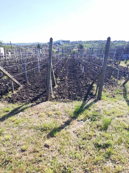 Продава се Парцел в Бургас, Братя Миладинови - 2000 кв.м за 8 €/кв.м - Снимка #4