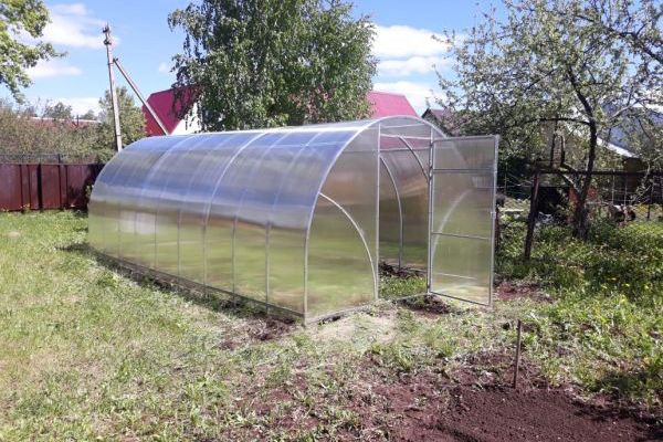Теплица " Сигма ", РАССРОЧКА, СКИДКИ, установка