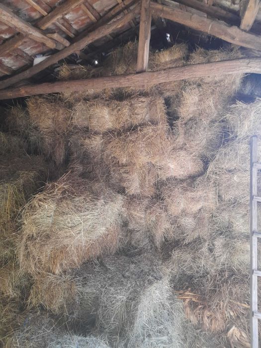 Продавам бали сено