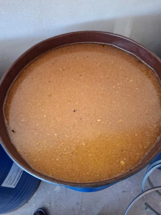 vand miere de albine de floarea soarelui.